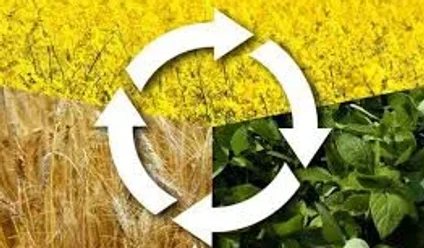 Teniško kolobarjenje - znova aktualno